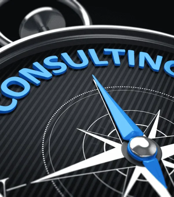 IT Consultency